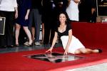 Julia Louis-Dreyfus Finds Misspelled Name on Walk of Fame Star 'Hysterical'